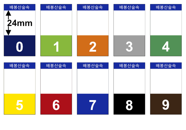 색띠라벨 C3050207